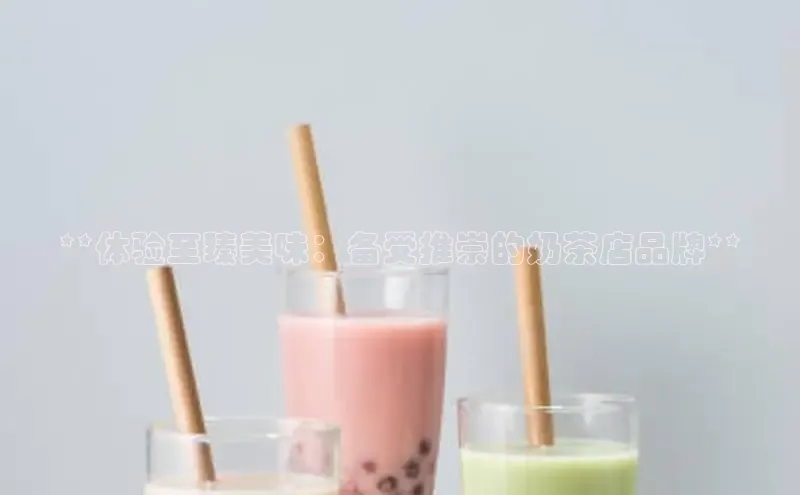 NG官网入口注册江铃新能源