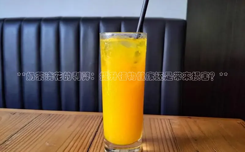 NG官网入口注册江铃新能源